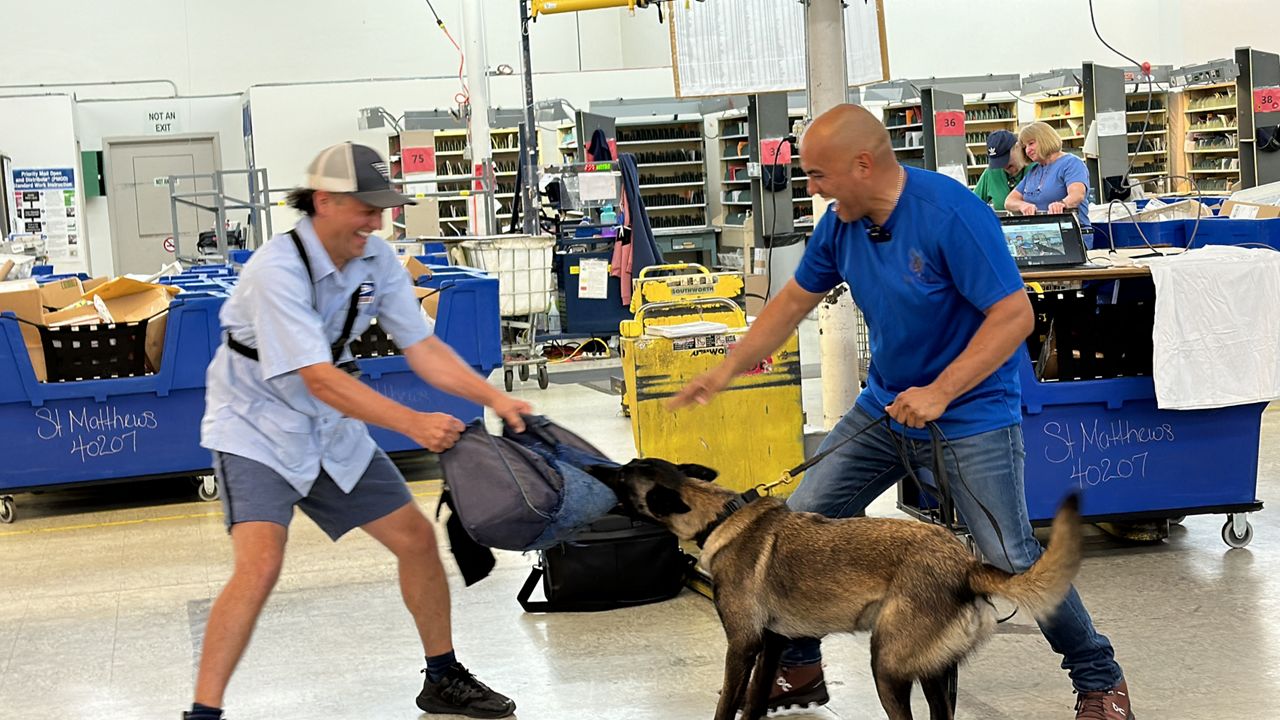 Dog trainer, Hector Hernandez and his dog, work with Louisville mail carriers about what to do if they are attacked by a dog while on their routes. 