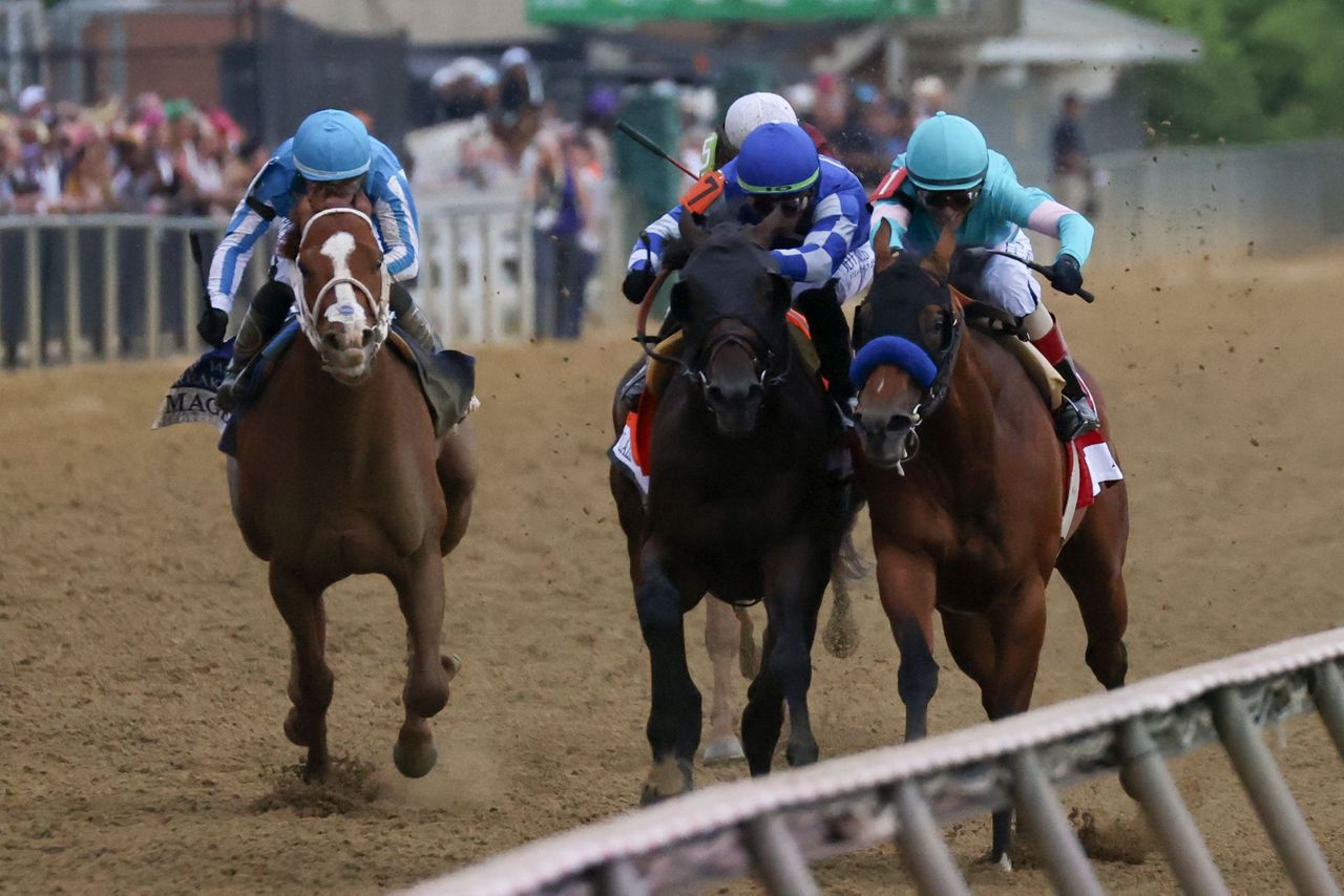 Preakness favorite Mage gets stitches for cut above eye, good to run in