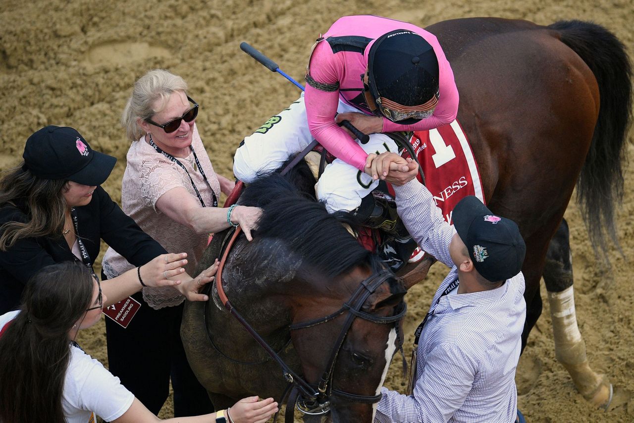 Baffert's Improbable remains favorite to win the Preakness