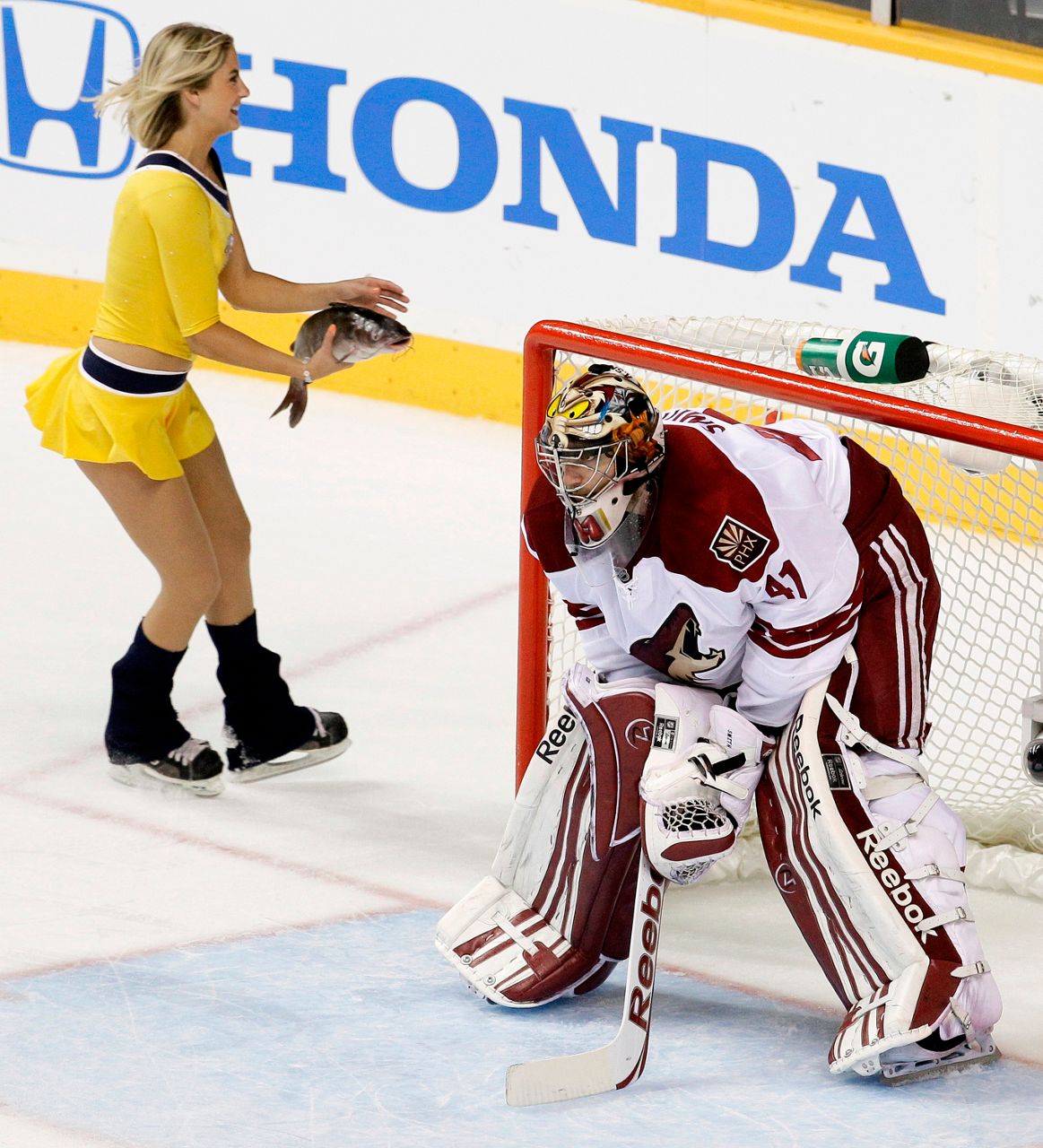 Predators unveil new catfish tank for start of NHL playoffs