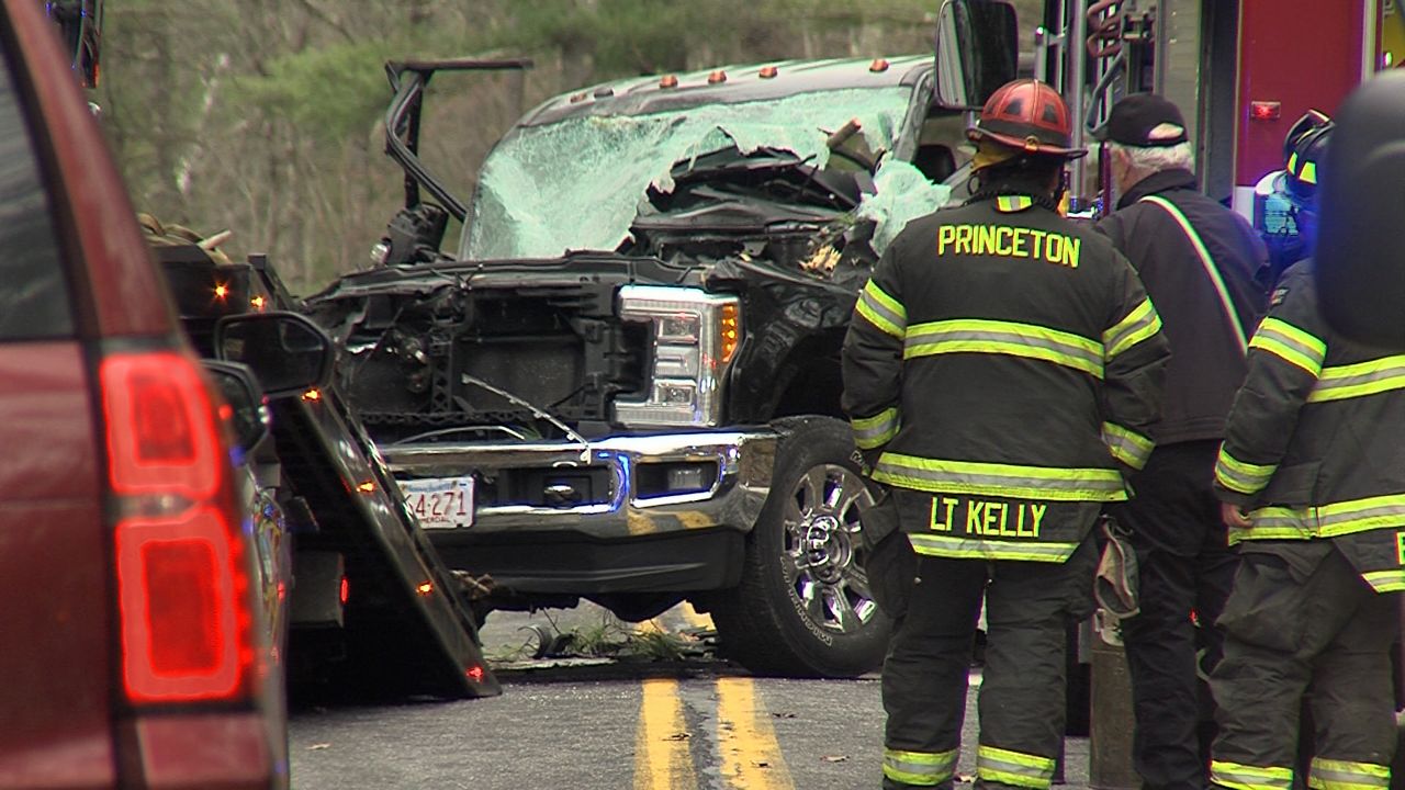 Occupants of truck escape injury after tree falls