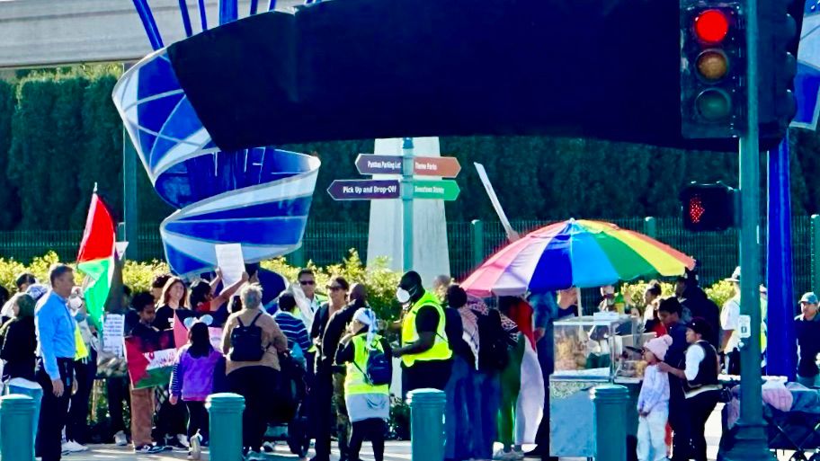 Pro-Palestine demonstrators outside of Disneyland in Anaheim. (Photo submitted to Spectrum News)