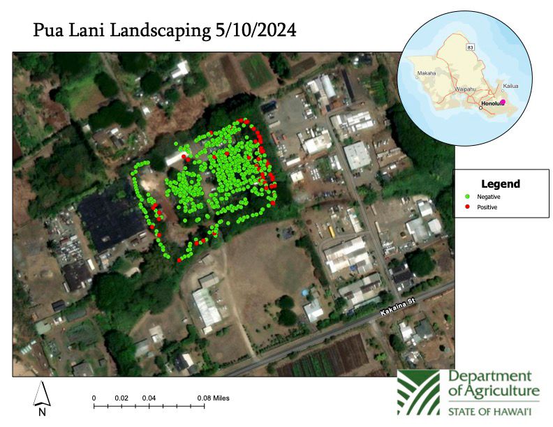 A map of the survey at Pua Lani from May 10, 2024. (Map courtesy of Hawaii Department of Agriculture)