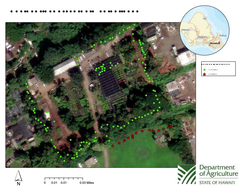 A map of the survey at Pua Lani from May 20, 2024. (Map courtesy of Hawaii Department of Agriculture)