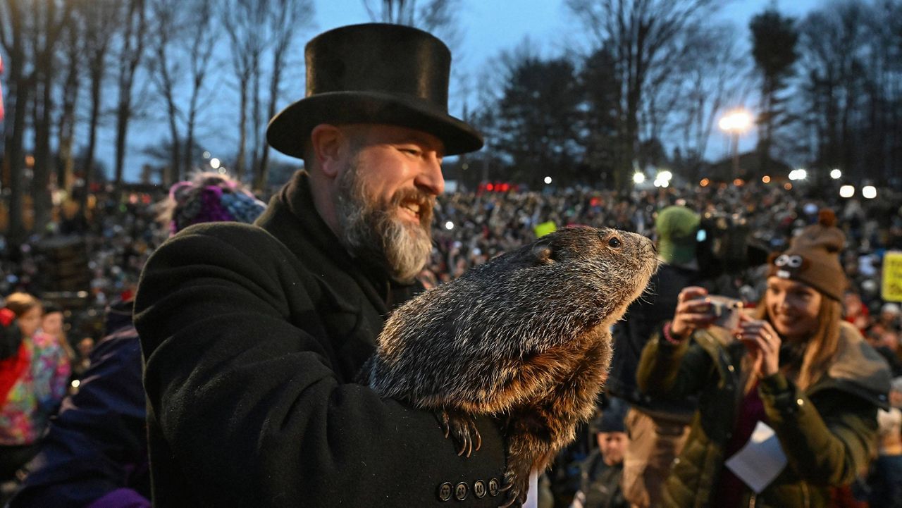 Groundhog Club handler A.J. Dereume holds Punxsutawney Phil, the weather prognosticating groundhog, during the 138th celebration of Groundhog Day on Gobbler's Knob in Punxsutawney, Pa., Friday, Feb. 2, 2024. (AP Photo/Barry Reeger) 