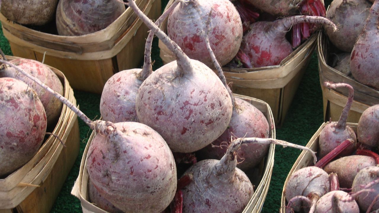 Do you know about the Rutabaga Festival in Wisconsin?