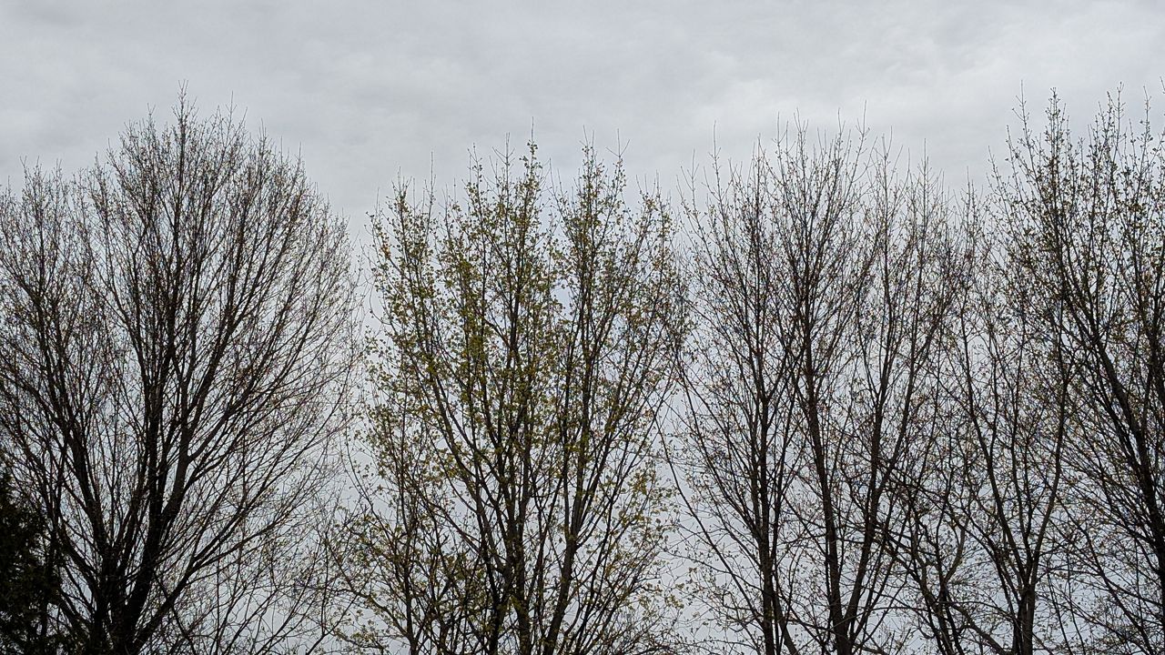 Spring