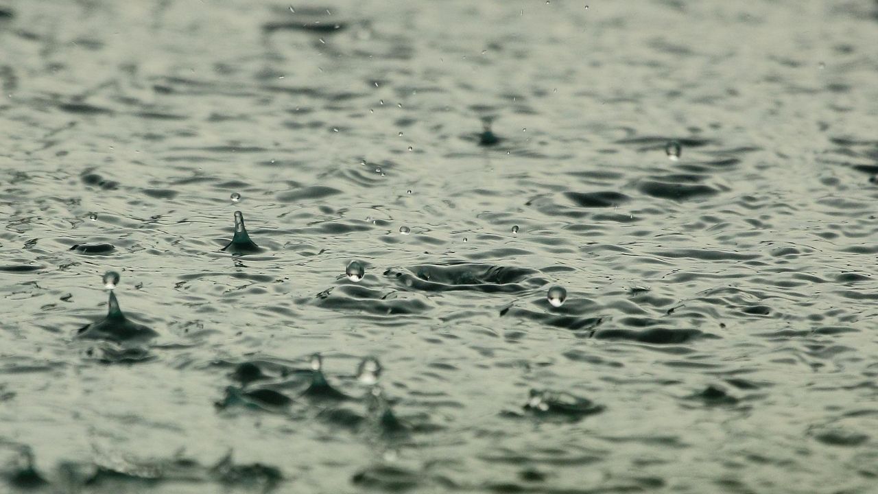 Rain puddles (Photo By: Pixabay)