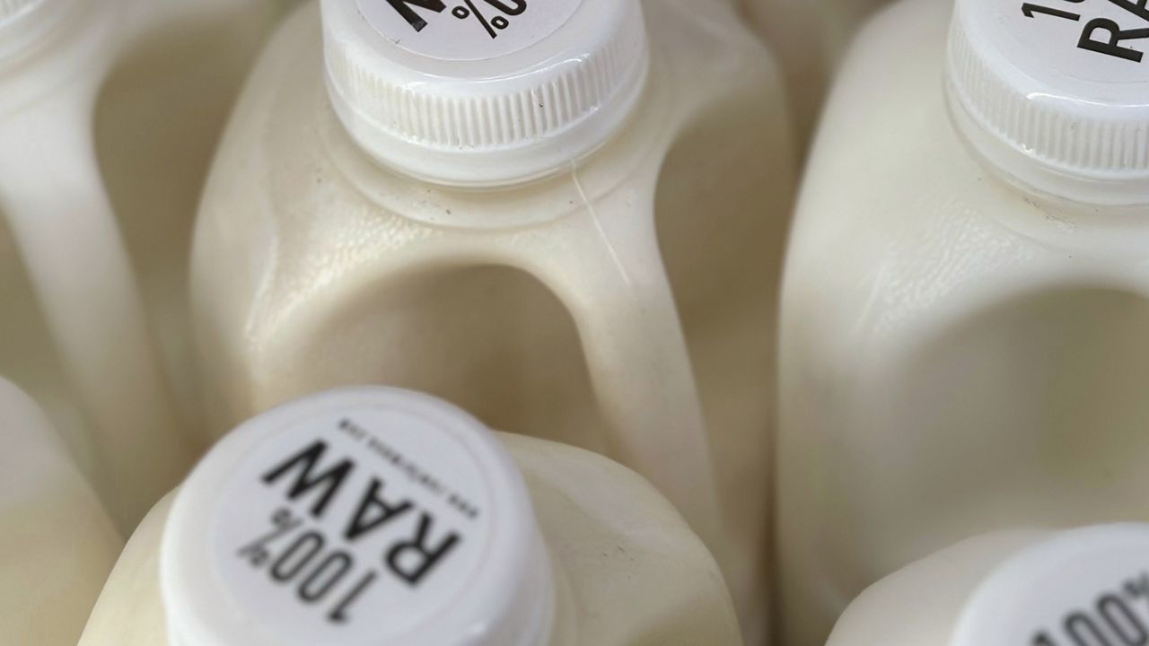 Bottles of raw milk are displayed for sale at a store in Temecula, Calif., on Wednesday, May 8, 2024. (AP Photo/JoNel Aleccia, file)