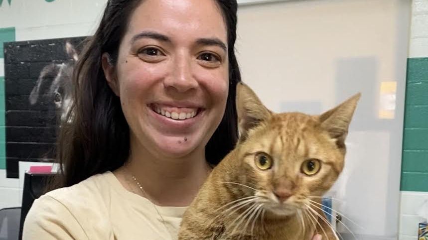 Finn, an orange cat, was trapped after being found in fire-ravaged Lahaina. Danielle, Finn's human, holds her cat after being reunited by the Maui Humane Society. (Photo courtesy of the Maui Humane Society)
