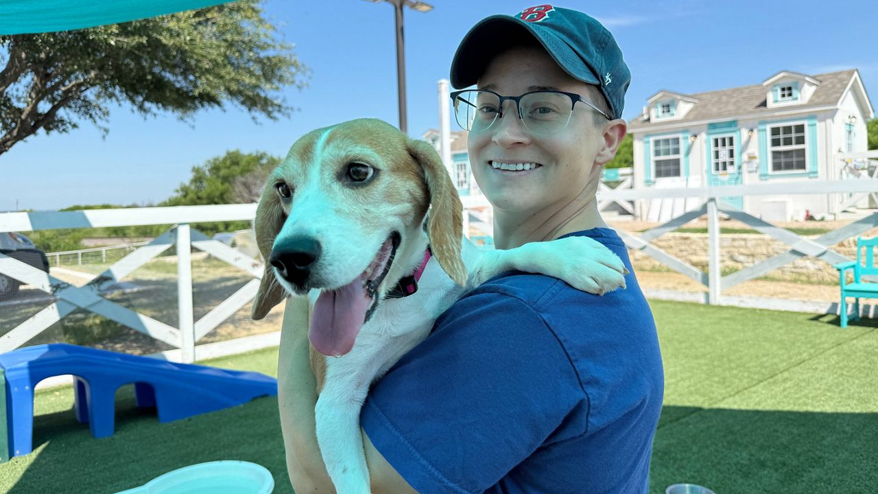 Beagles rescued from facility find foster homes in Texas