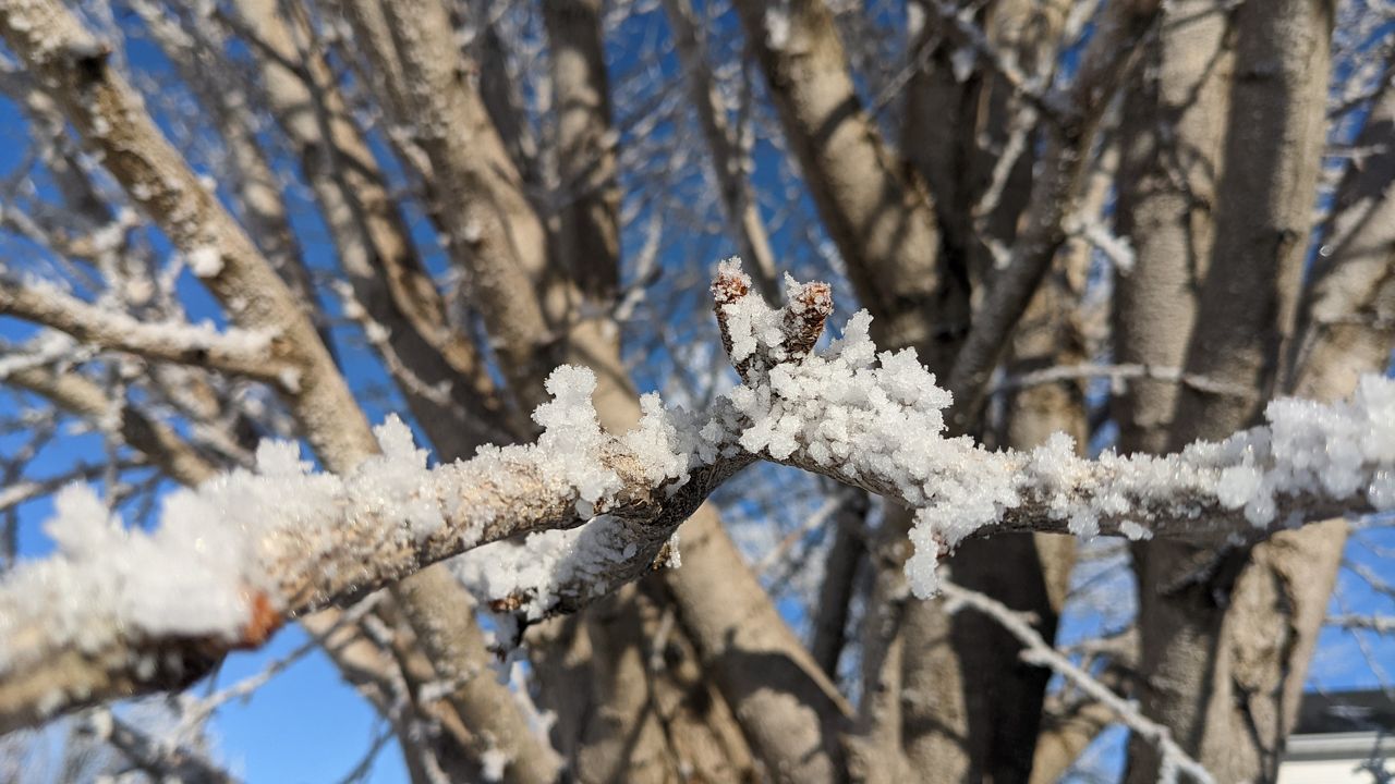 What is freezing fog?