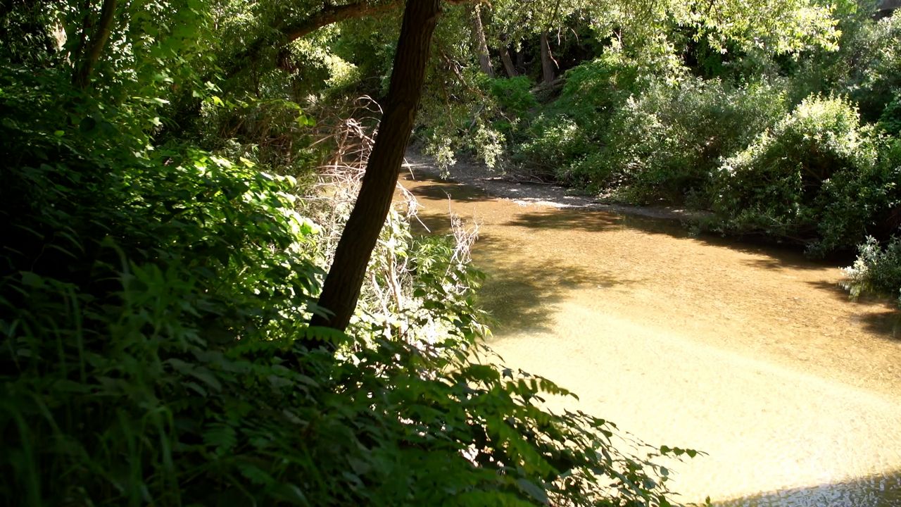 The San Lorenzo River runs through the Felton Grove neighborhood in Felton, CA. (Spectrum News)