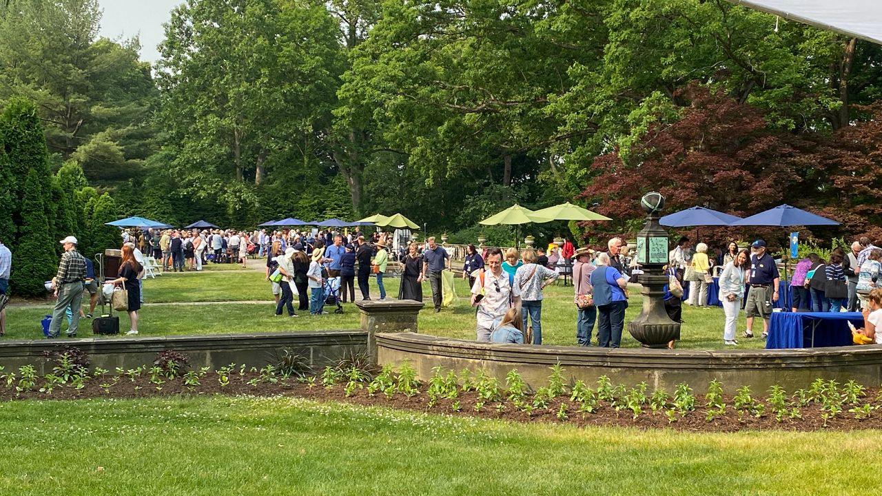 people standing in groups on a tree lawn
