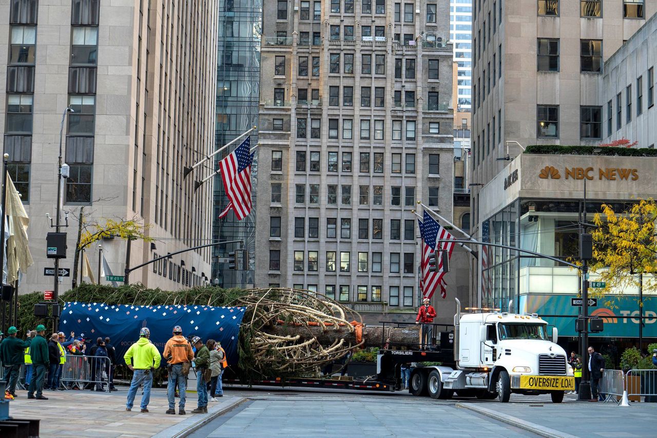 Home for the holidays Rockefeller tree arrives in NYC