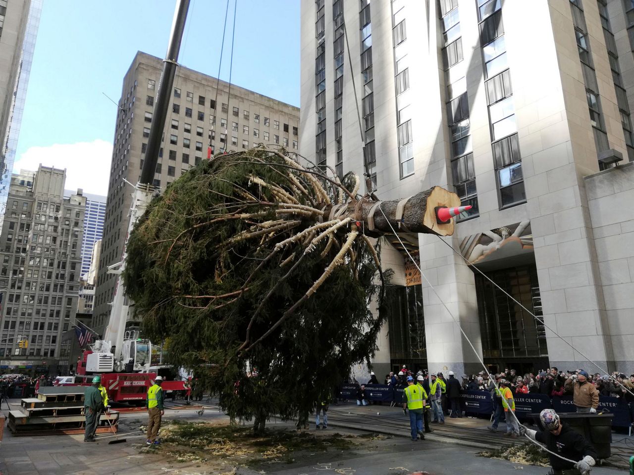 New York City's Rockefeller Center Christmas tree rolls in
