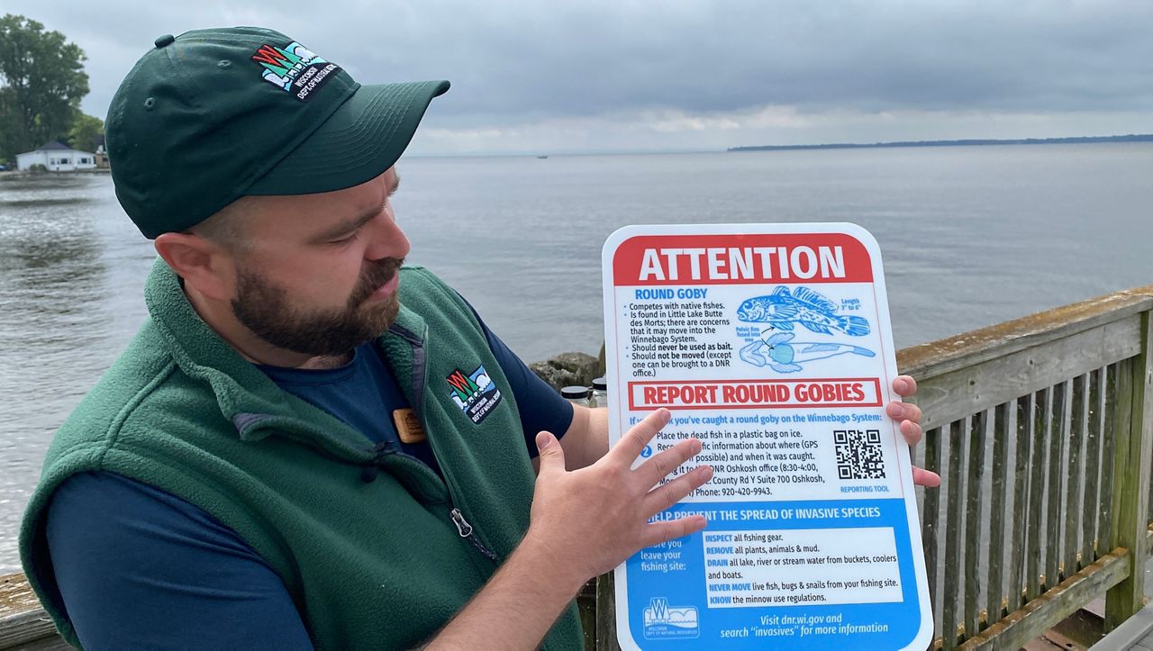 Invasive fish could disrupt Lake Winnebago system