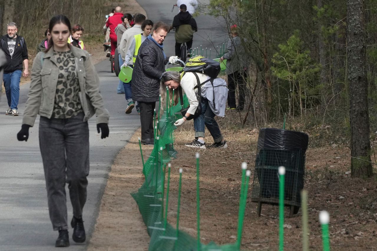 A Russian bucket brigade helps toads and frogs cross the road to get to ...