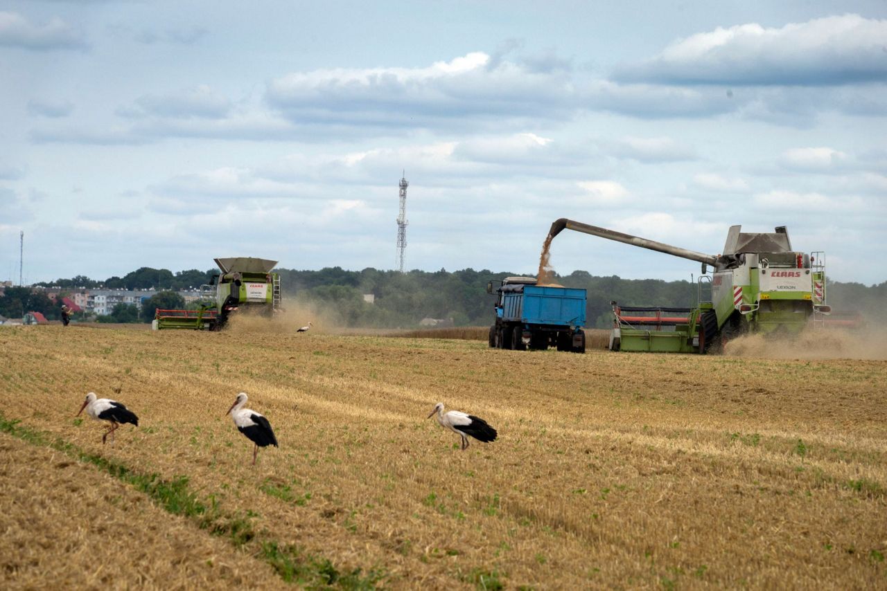 Russia halts wartime deal that allows Ukraine to ship grain in a hit to ...