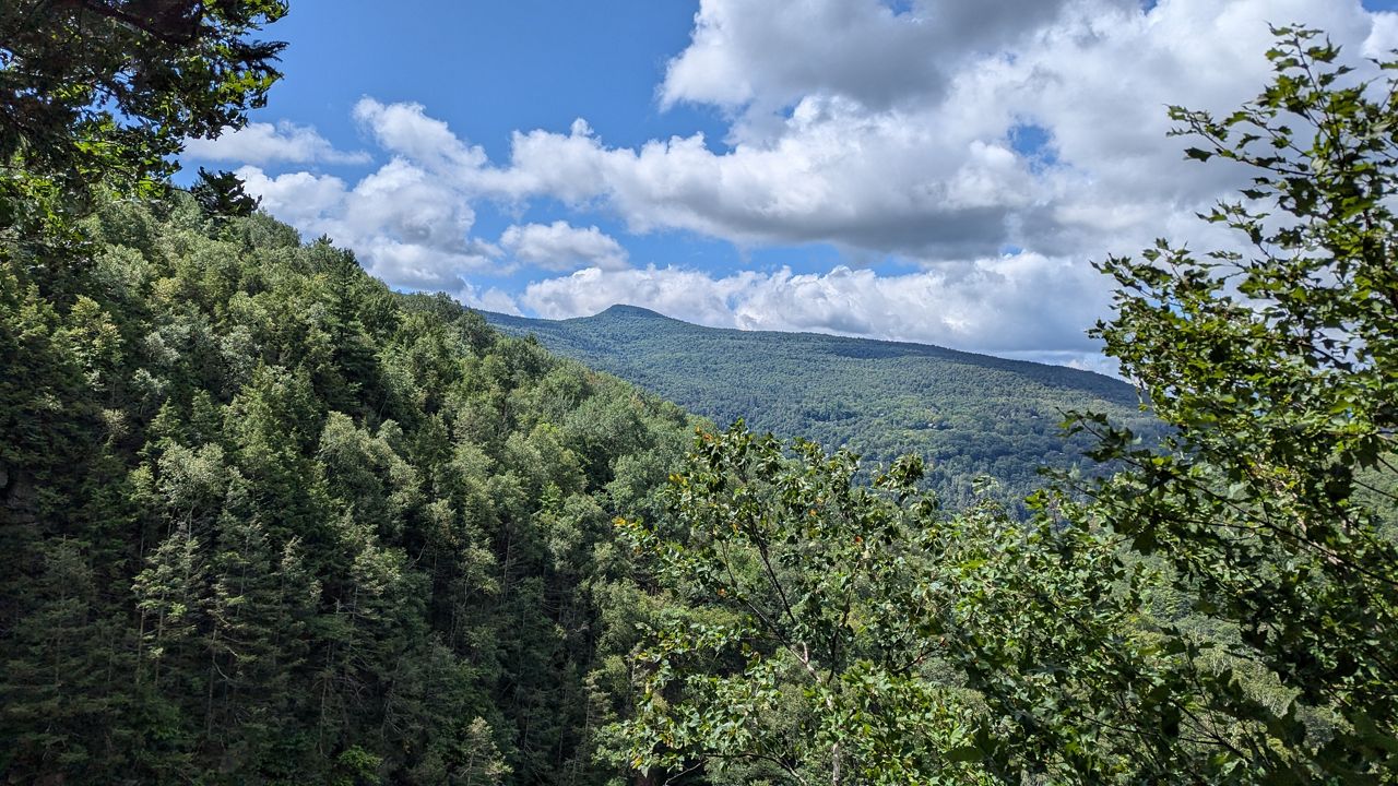 Sunny in the Catskills