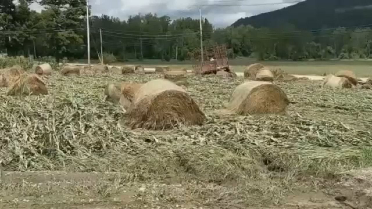 Cleanup in Steuben County after Debby continues