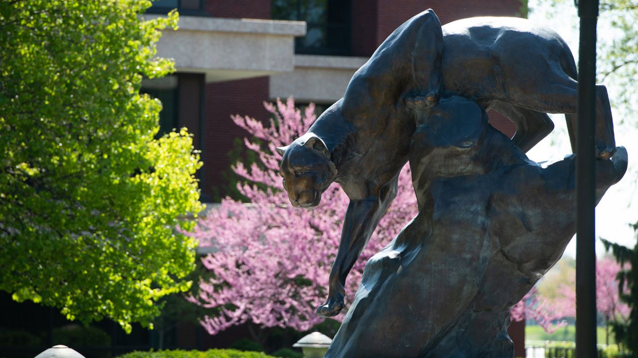 The cougar statue on SIUE’s campus. (Photo Credit: SIUE)