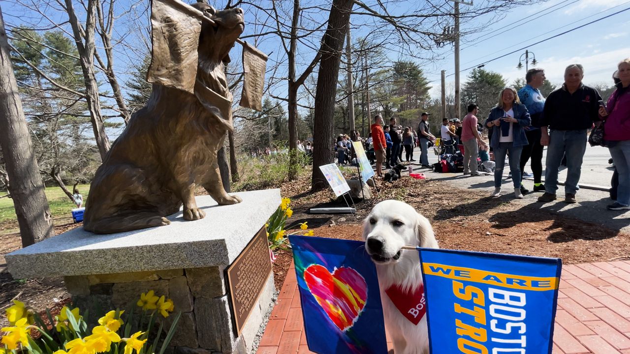 New statue solidifies legacy of Boston Marathon therapy dog