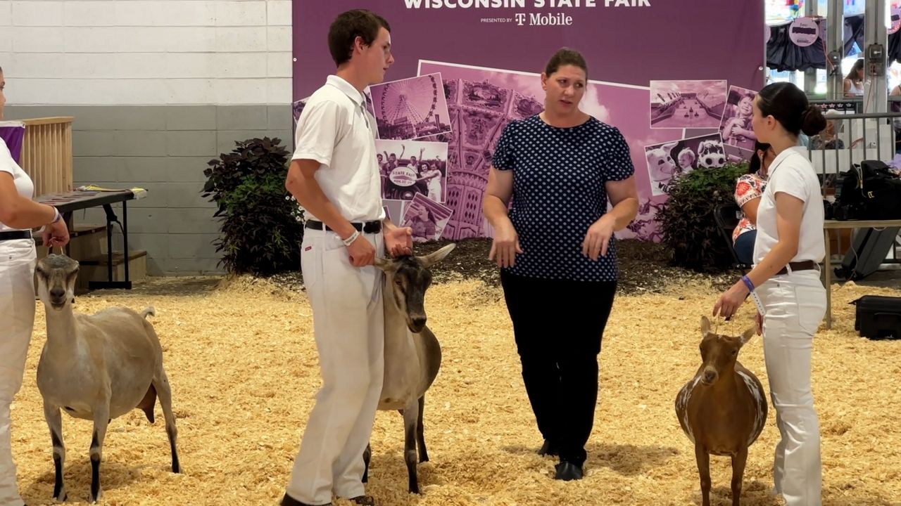 Junior livestock exhibitors share how they prepared for the Wisconsin State Fair