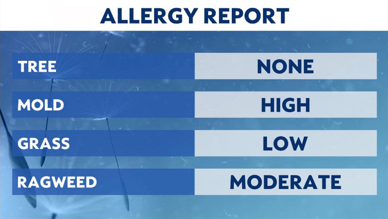 How to battle summer allergies in St. Louis