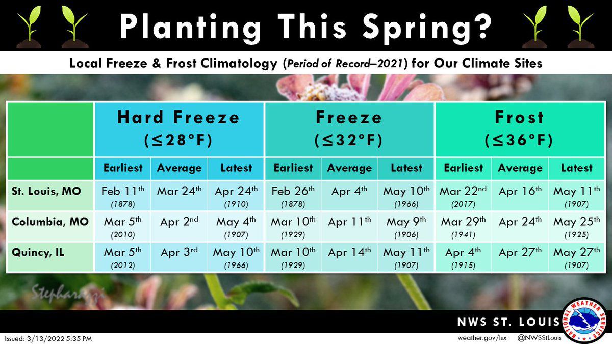 Landscaping tips to get your yard ready for spring