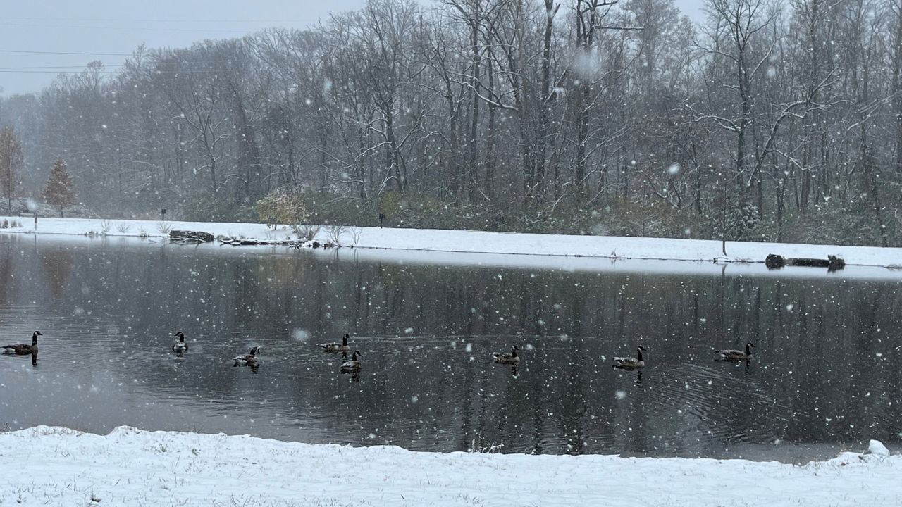 Maine snow