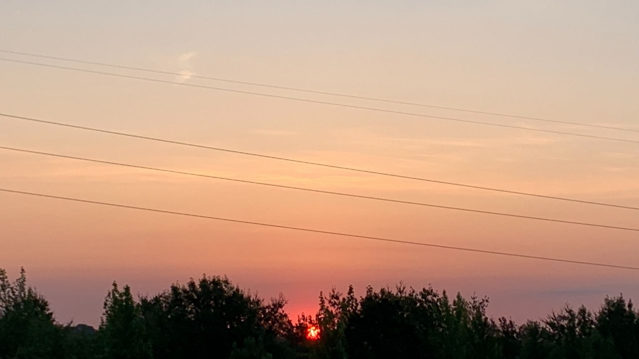 Sunset over trees