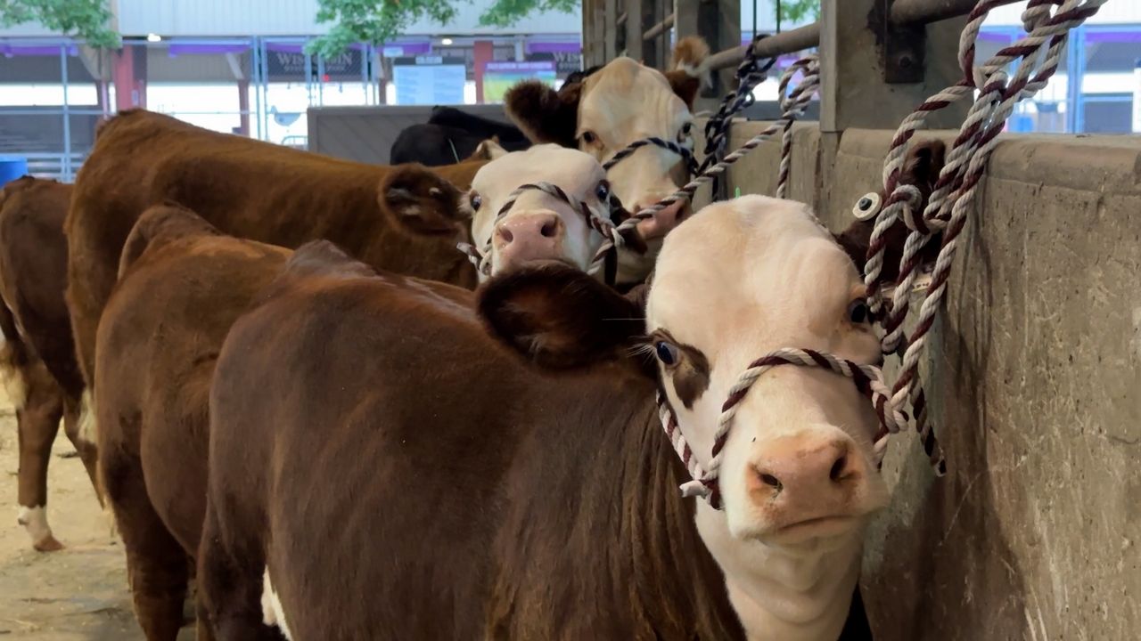 Wisconsin State Fair officials assess Fair Park storm damage