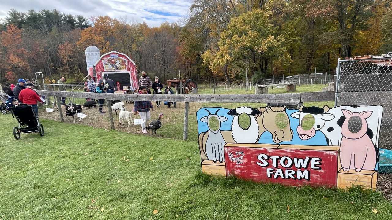 Millbury's Stowe Farm gets spooky at Halloween party