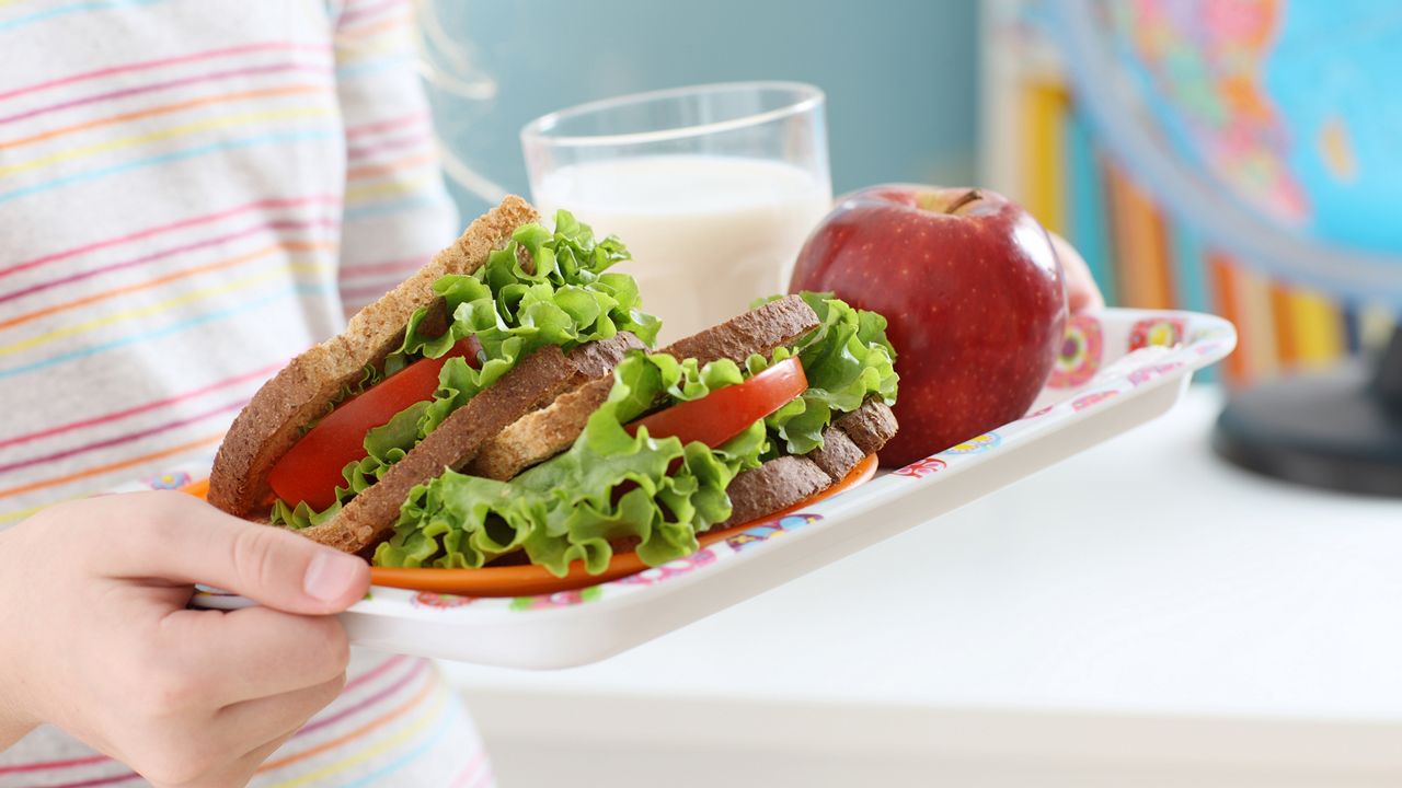 child holding tray with sandwich and apple on it