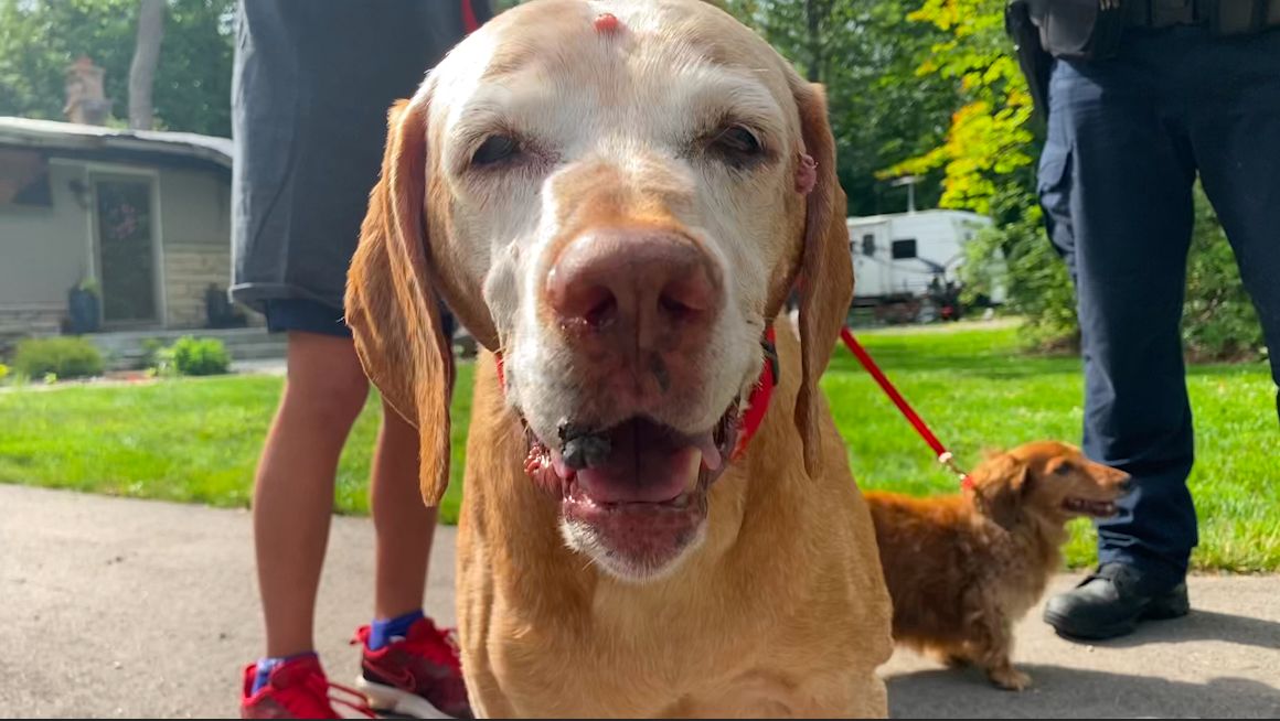 Police Officer Saves Family's Dog in Burning Home