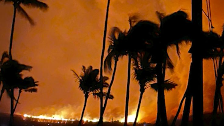 Couple witnessed Maui wildfire during Hawaiian honeymoon