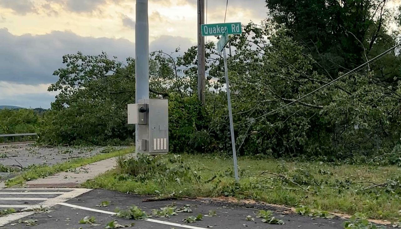 Severe thunderstorms knock down trees, power lines