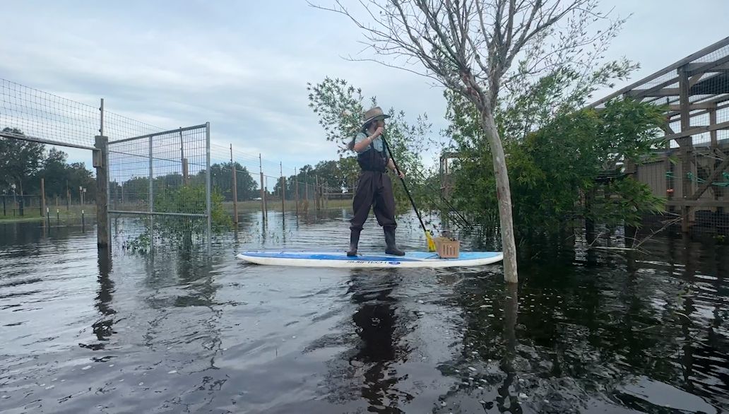 Animal Behavior Specialist Adam Hess paddles to reach animals through Chase Sanctuary flooding. (Spectrum News/Katie Streit)