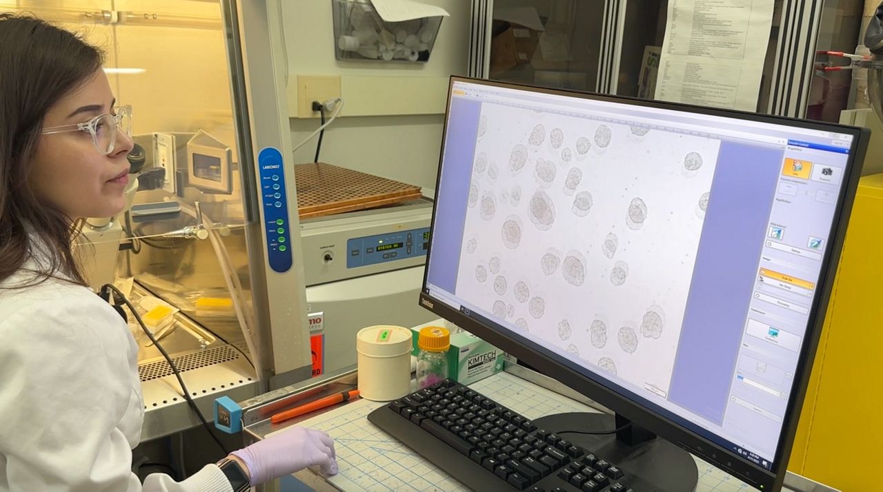 Scientist doing research 