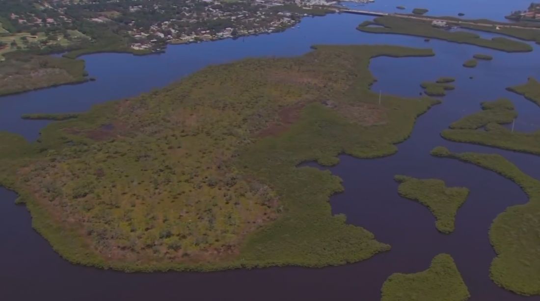 Manatee County commissioners unanimously voted to purchase more than 13 acres of land to add to Pine Island Preserve. (Spectrum News)