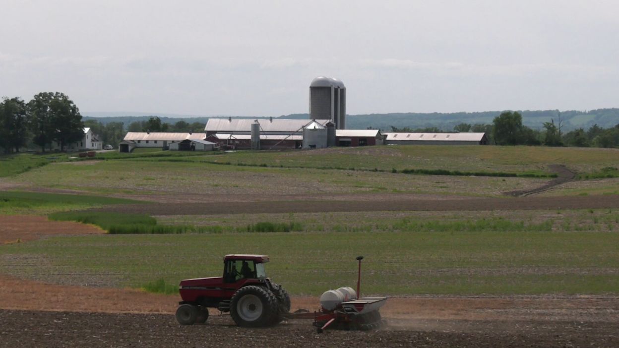 farm