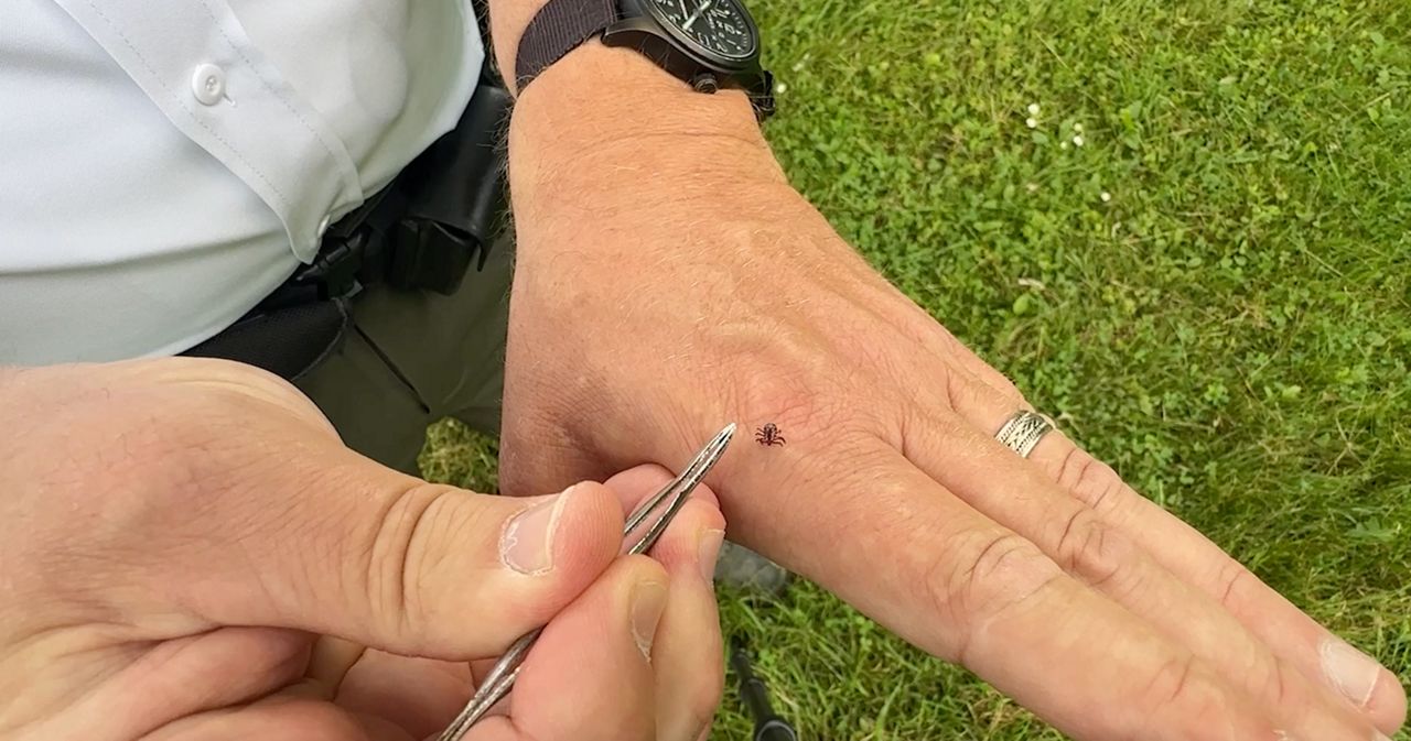 tick season