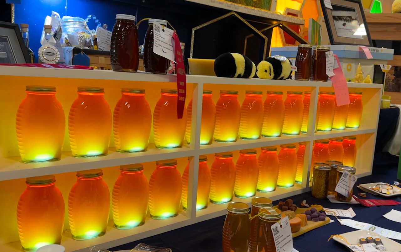 Become a State Fair Adventurer at the N.C. State Fair
