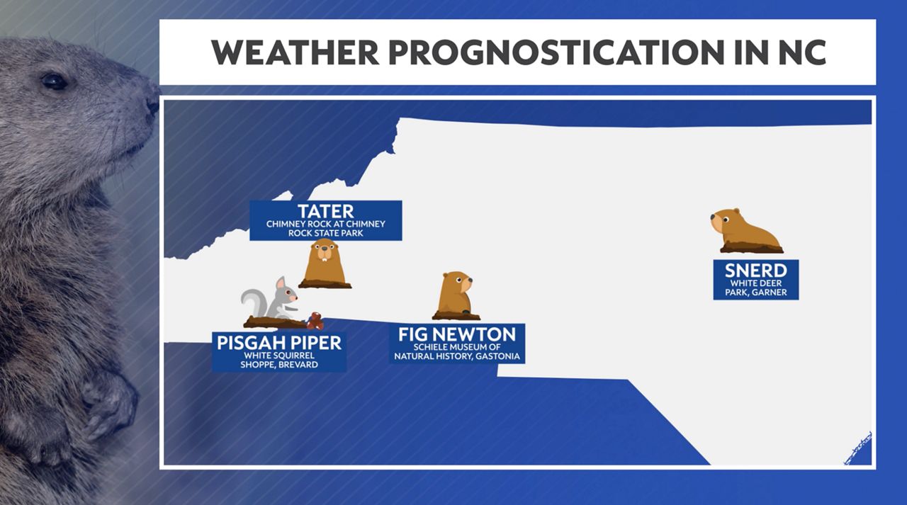 Snerd the groundhog helps predicts the weather