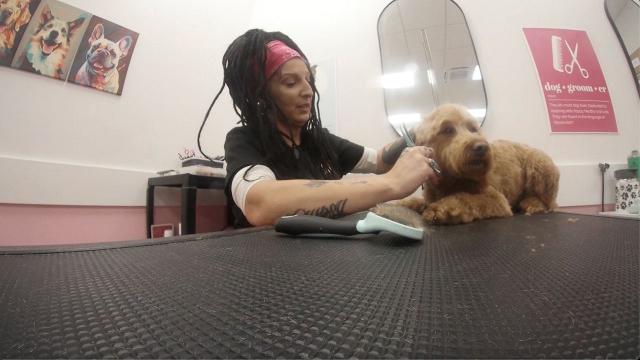 Now Hiring: Woof Gang Middleton brings paw-some jobs, perks