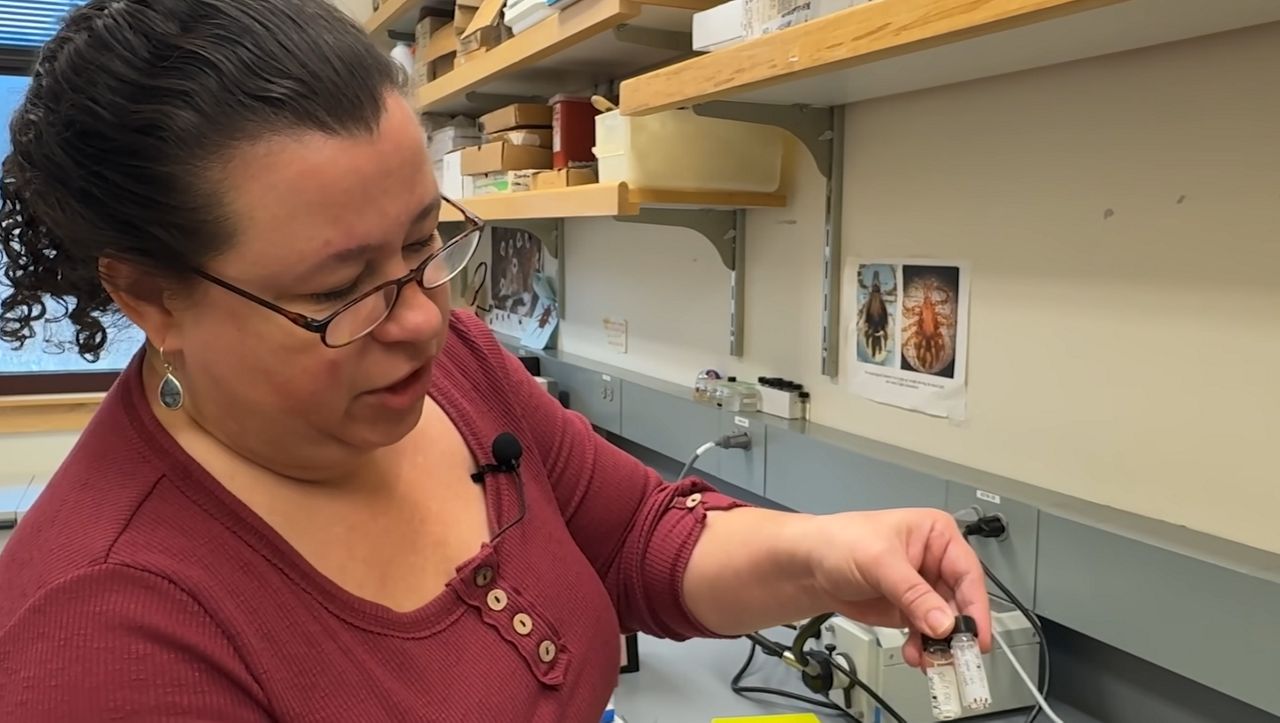 New report finds ticks carrying more diseases this year