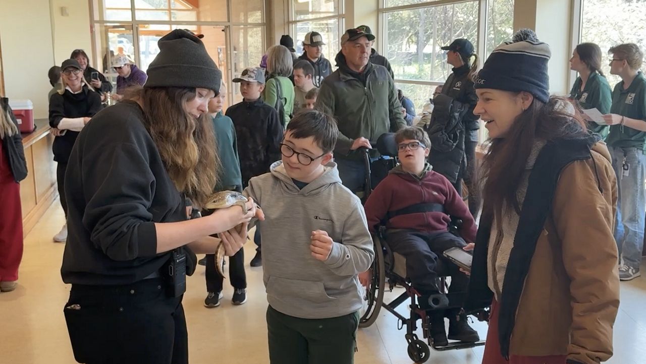 PigAbilities is a movement for inclusion
