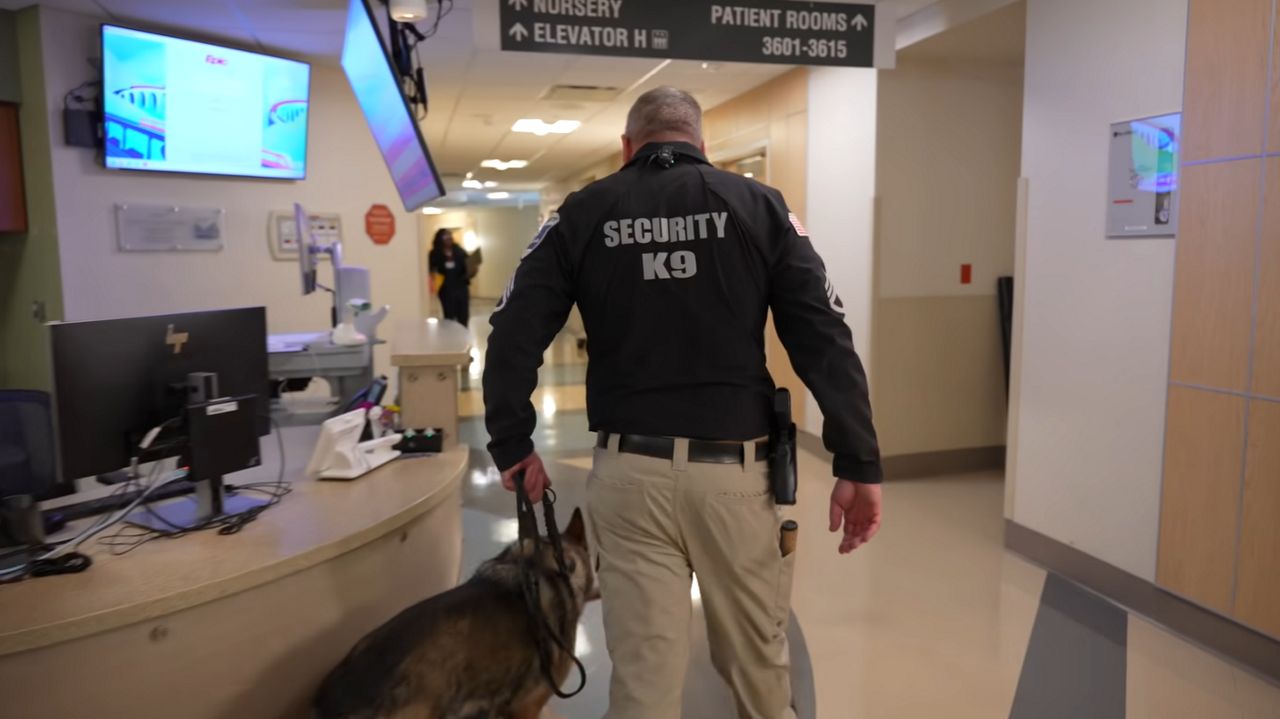 New York hospitals bolster security to address escalating workplace violence