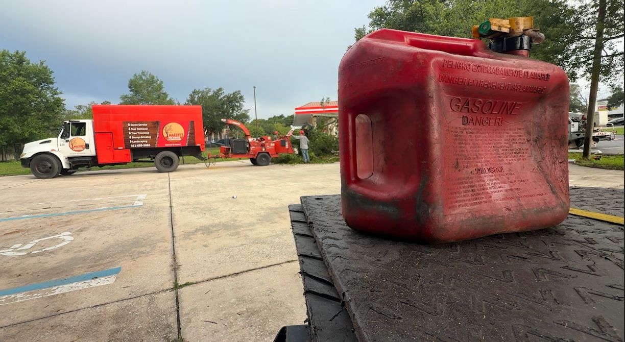 Lower gas prices bring relief to drivers and Florida small businesses
